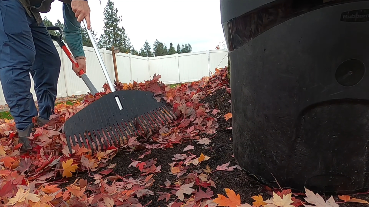A person rakes fallen autumn leaves into a pile beside a compost bin.
